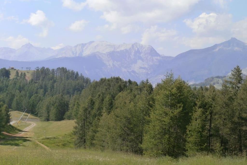 Apartment Au Coeur De A Proximite Des Pistes Valberg