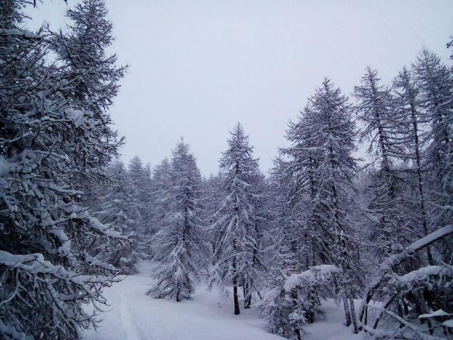 Au Coeur De A Proximite Des Pistes * Valberg